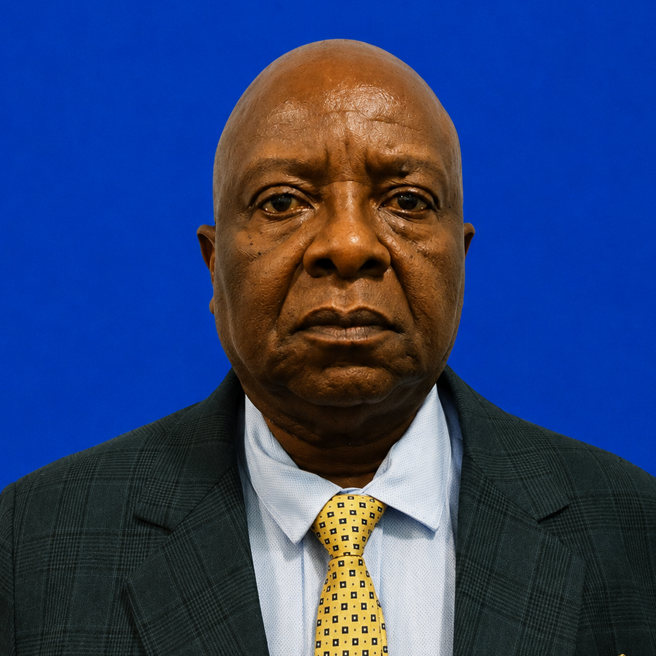 Hon. Justice Petrus Tileinge Damaseb